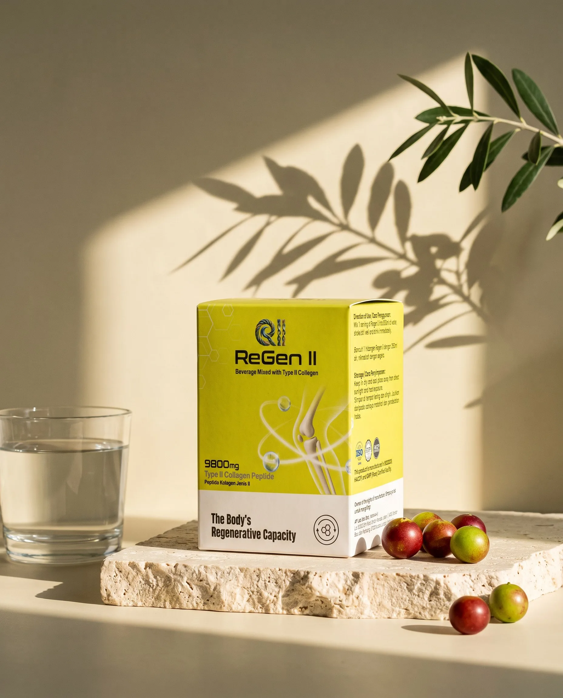 ReGen II box on a travertine block in warm morning light